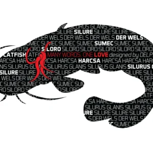 Öntapadó HARCSA Words sorozat