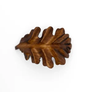 vaddisznó agyartakaró