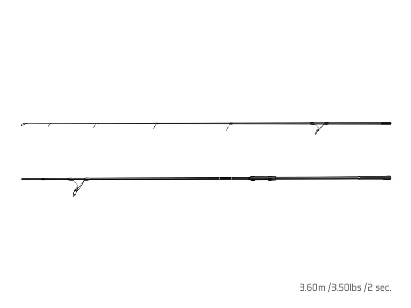 Delphin CASTIX - Image 2