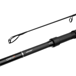Delphin CASTIX