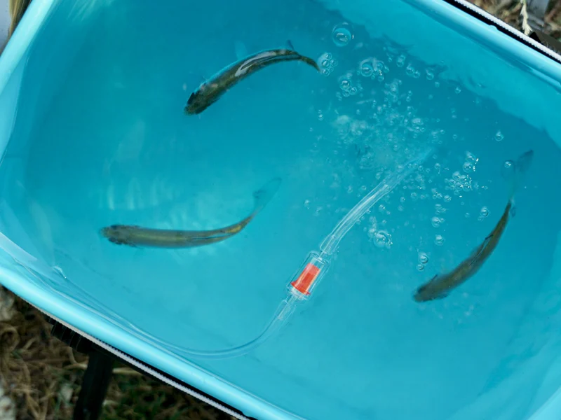 Delphin HydrO2 akkumulátoros levegőztető - Image 10